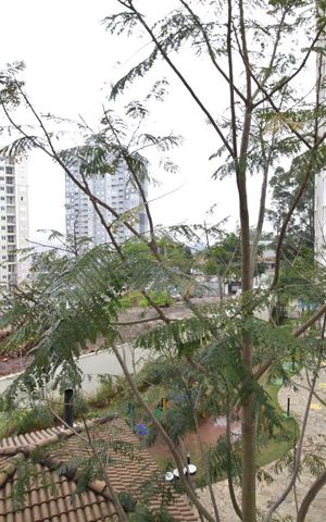 Apartamento para alugar com 68m², 2 quartos e 1 vagaVista da suíte