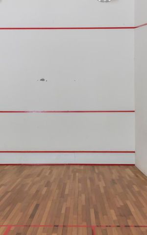 Apartamento à venda com 50m², 2 quartos e 1 vagaQuadra de squash