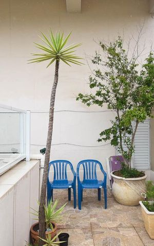 Apartamento à venda com 180m², 1 quarto e 2 vagas Apartamento à venda com 180m², 1 quarto e 2 vagasCobertura