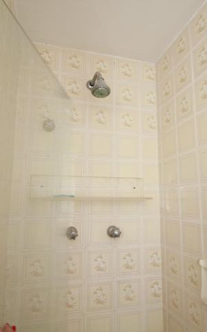 Apartamento à venda com 147m², 4 quartos e 3 vagasChuveiro
