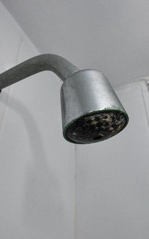 Apartamento à venda com 67m², 3 quartos e 1 vaga Apartamento à venda com 67m², 3 quartos e 1 vagaBanheiro Social