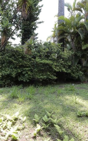 Casa à venda com 330m², 4 quartos e 6 vagasQuintal
