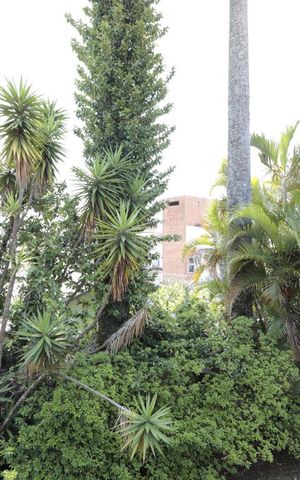 Casa à venda com 330m², 4 quartos e 6 vagasVista