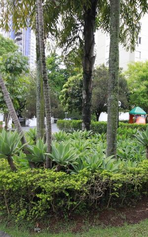 Apartamento à venda com 68m², 2 quartos e 2 vagasÁrea comum