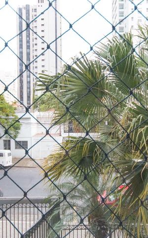 Apartamento para alugar com 65m², 2 quartos e 1 vagaVista do Quarto 2 
