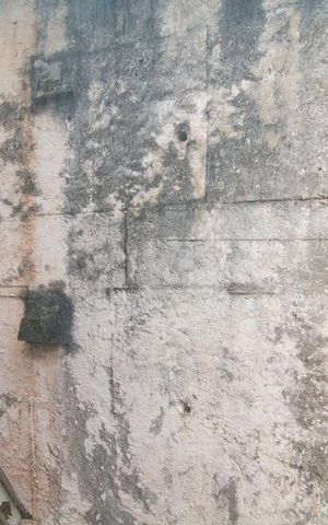 Apartamento à venda com 80m², 4 quartos e 1 vagaVista 