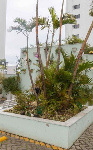 Apartamento à venda com 70m², 2 quartos e 1 vagaÁrea comum