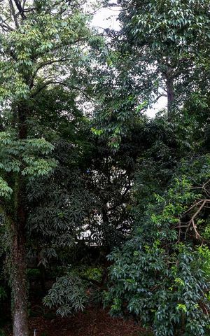 Casa à venda com 350m², 3 quartos e 4 vagas Casa à venda com 350m², 3 quartos e 4 vagasVista Quarto