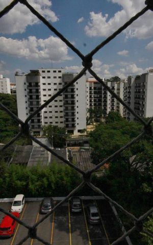 Apartamento para alugar com 83m², 3 quartos e 1 vagaVista da suíte