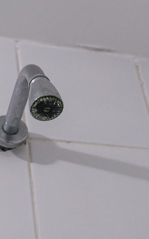 Apartamento para alugar com 70m², 3 quartos e 1 vagaDetalhe