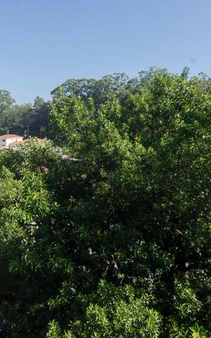 Apartamento à venda com 57m², 2 quartos e 1 vagaVista Suíte