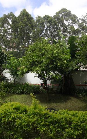 Casa à venda com 450m², 4 quartos e 5 vagasVista do quarto 3