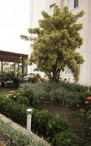 Apartamento à venda com 85m², 2 quartos e 2 vagasJardim