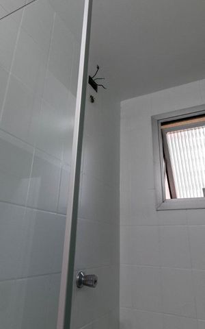 Apartamento à venda com 73m², 3 quartos e 2 vagasBanheiro