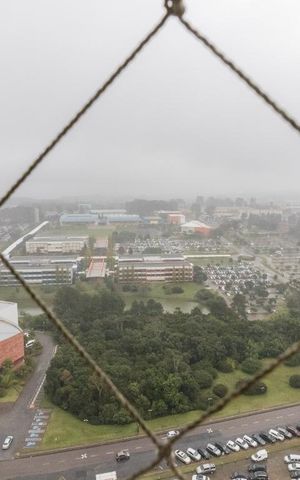 Apartamento para alugar com 72m², 3 quartos e 1 vaga Apartamento para alugar com 72m², 3 quartos e 1 vagaVista Quarto 2