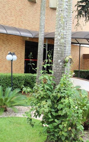 Apartamento à venda com 434m², 4 quartos e 4 vagasÁrea comum