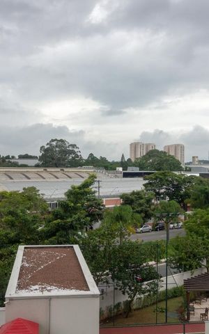 Apartamento à venda com 266m², 4 quartos e 4 vagasVista