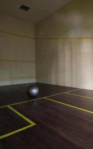 Apartamento à venda com 350m², 6 quartos e 5 vagasQuadra de squash