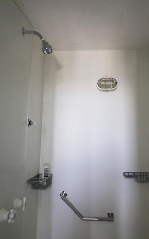 Apartamento à venda com 350m², 6 quartos e 5 vagasChuveiro
