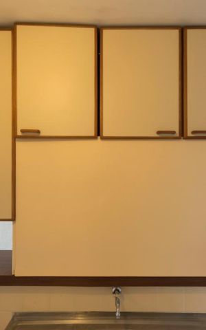 Apartamento à venda com 47m², 2 quartos e 1 vagaCozinha (Armários)