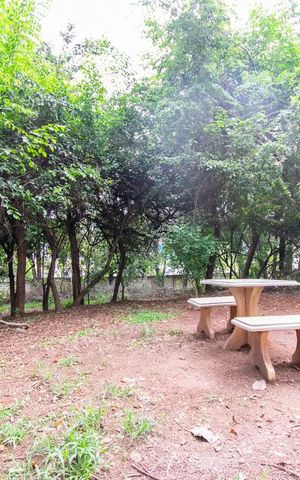 Apartamento à venda com 56m², 1 quarto e 1 vaga Apartamento à venda com 56m², 1 quarto e 1 vagaBosque
