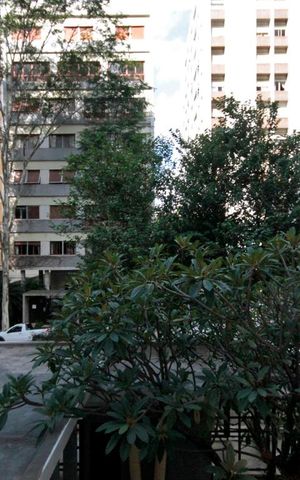 Apartamento para alugar com 183m², 3 quartos e 1 vagaVista do Quarto 2