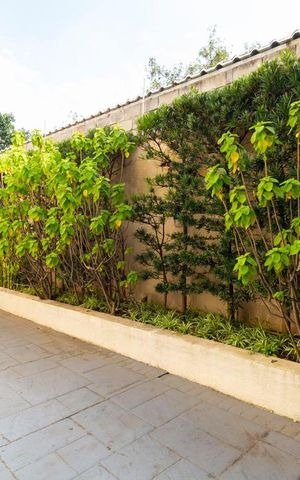 Apartamento à venda com 75m², 3 quartos e 2 vagasÁrea externa