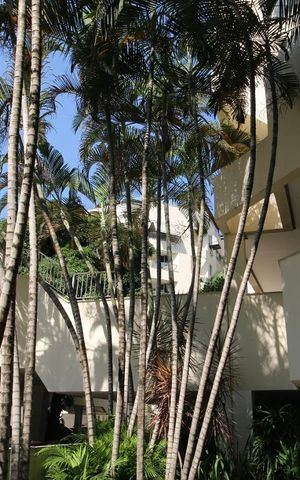 Apartamento para alugar com 140m², 3 quartos e 2 vagasFachada