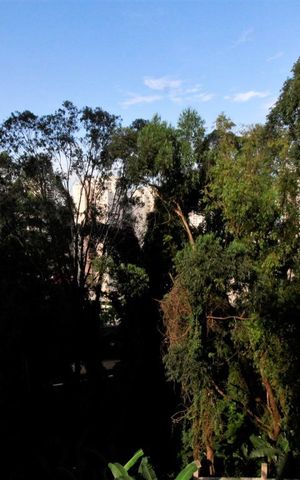 Apartamento à venda com 38m², 1 quarto e 1 vagaVista da varanda