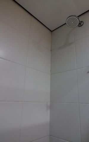 Apartamento para alugar com 65m², 2 quartos e 1 vagaChuveiro