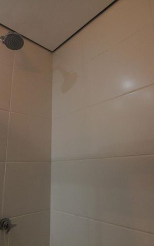 Apartamento para alugar com 65m², 2 quartos e 1 vagaChuveiro