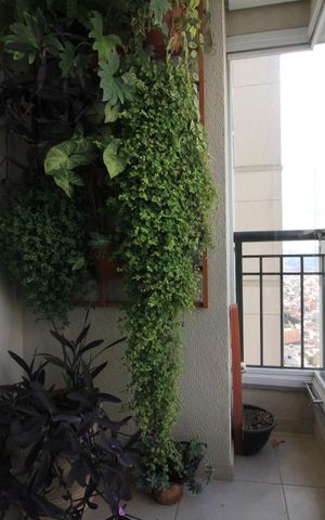 Apartamento para alugar com 65m², 2 quartos e 1 vagaVaranda