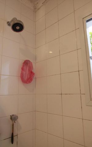 Casa à venda com 250m², 4 quartos e 1 vagaChuveiro