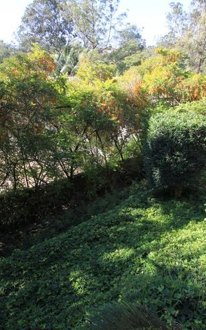 Casa à venda com 570m², 4 quartos e 3 vagasJardim