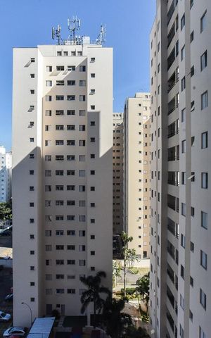 Apartamento para alugar com 56m², 2 quartos e 1 vaga Apartamento para alugar com 56m², 2 quartos e 1 vagaVista do Quarto