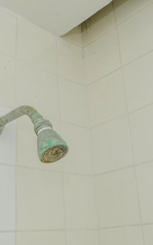 Apartamento à venda com 82m², 2 quartos e 2 vagasBanheiro de Serviço