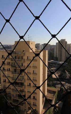 Apartamento para alugar com 62m², 2 quartos e 1 vagaVista do quarto 1
