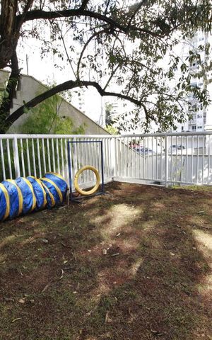 Apartamento para alugar com 67m², 3 quartos e 1 vagaEspaço pet