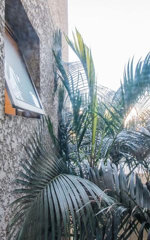 Apartamento à venda com 62m², 3 quartos e 1 vagaVista do Quarto 2