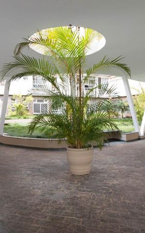 Apartamento para alugar com 38m², 1 quarto e sem vaga Apartamento para alugar com 38m², 1 quarto e sem vagaHall