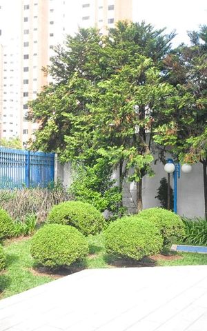Apartamento para alugar com 209m², 3 quartos e 3 vagasJardim