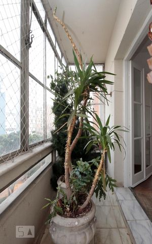 Apartamento à venda com 110m², 2 quartos e sem vagaVaranda