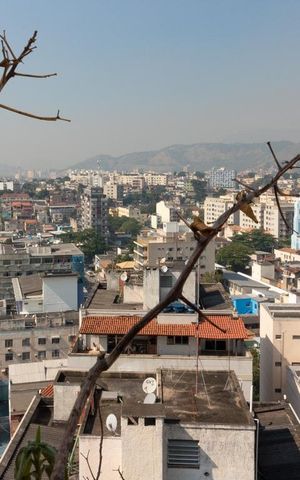 Apartamento à venda com 70m², 2 quartos e 1 vaga Apartamento à venda com 70m², 2 quartos e 1 vagaVista do quarto 1