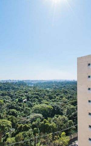 Apartamento para alugar com 75m², 2 quartos e 2 vagasVista da Sala