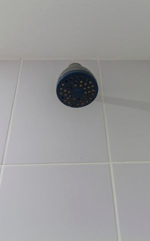 Apartamento para alugar com 76m², 2 quartos e 2 vagasBanheiro Social