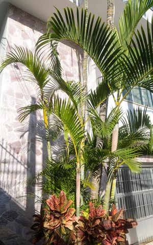 Casa à venda com 300m², 3 quartos e 5 vagas Casa à venda com 300m², 3 quartos e 5 vagasFachada
