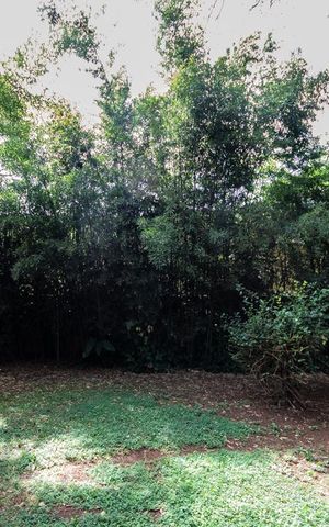 Casa para alugar com 900m², 5 quartos e 3 vagas Casa para alugar com 900m², 5 quartos e 3 vagasQuintal