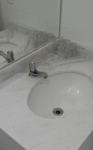 Apartamento à venda com 53m², 2 quartos e 1 vagaBanheiro social (Pia)