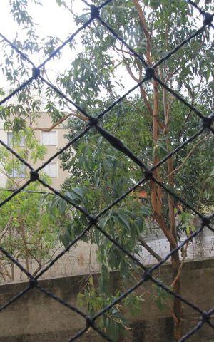 Apartamento à venda com 49m², 2 quartos e 1 vagaVista do quarto 1