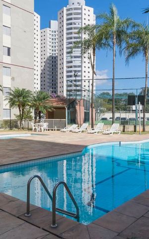 Apartamento à venda com 65m², 3 quartos e 2 vagasÁrea comum - Piscina